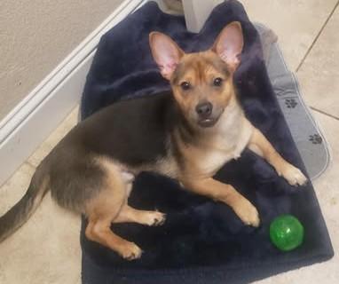 Max