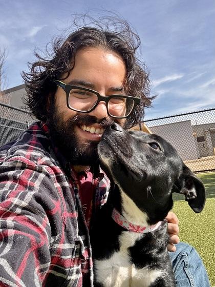 Enlarge Innocent, a Adoptable mixed breed in Wichita, KS image 2/3