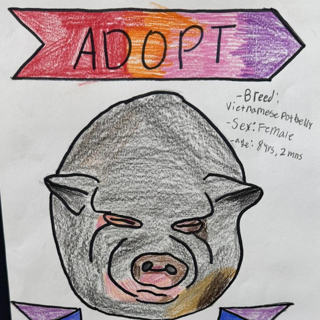 Maggie, a Adoptable Vietnamese Pot Bellied in Novelty, OH image 3/6