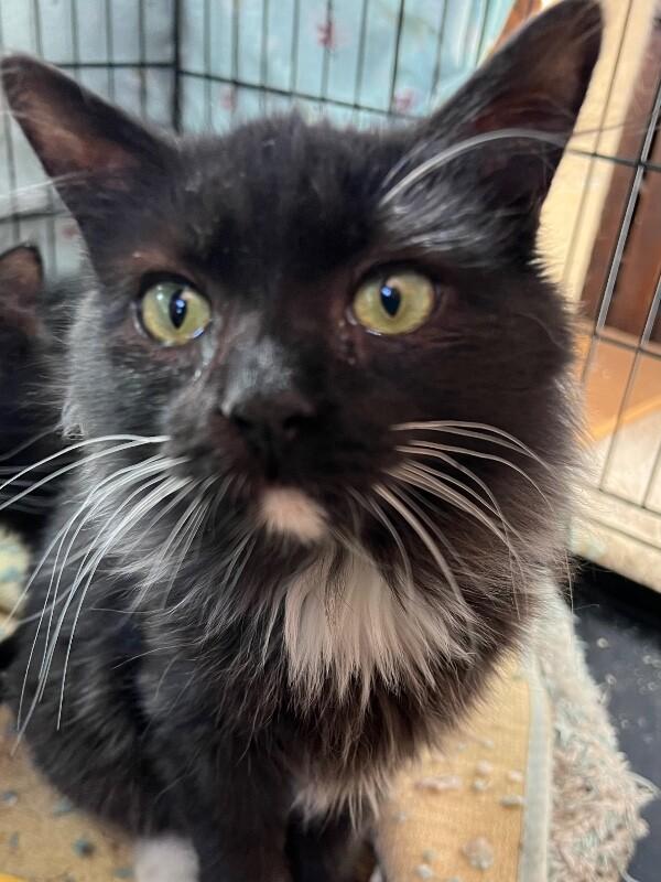 Lucky — thumbnail 3