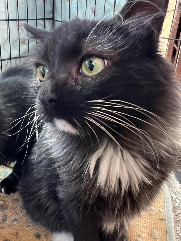 Lucky — thumbnail 4