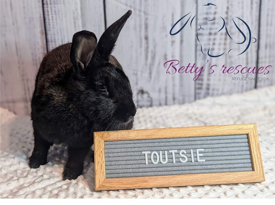 Toutsie