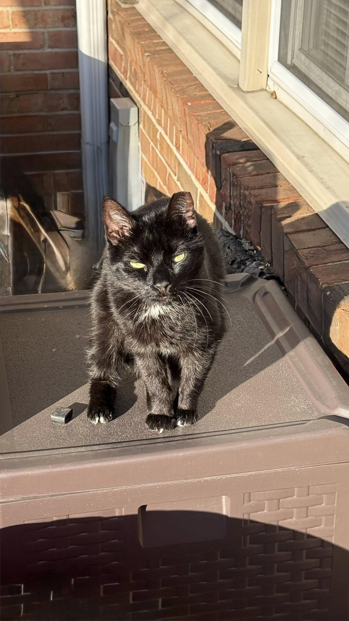 Luna