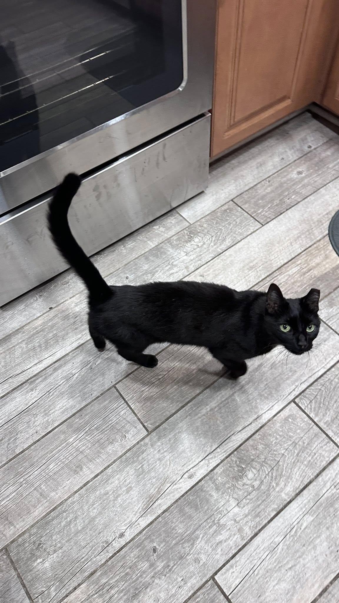 Luna
