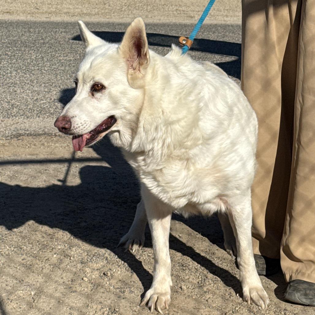 Audrey — thumbnail 2