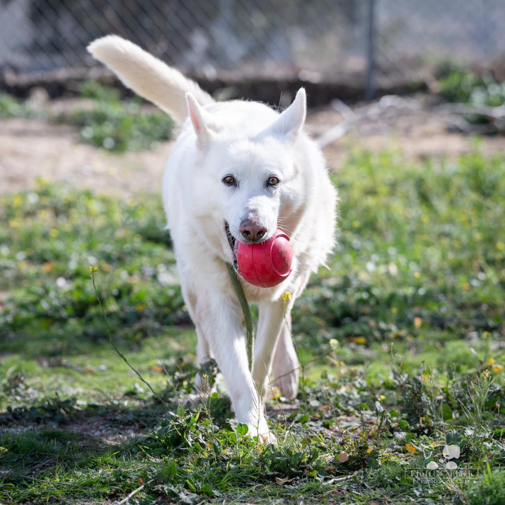 Audrey — thumbnail 3