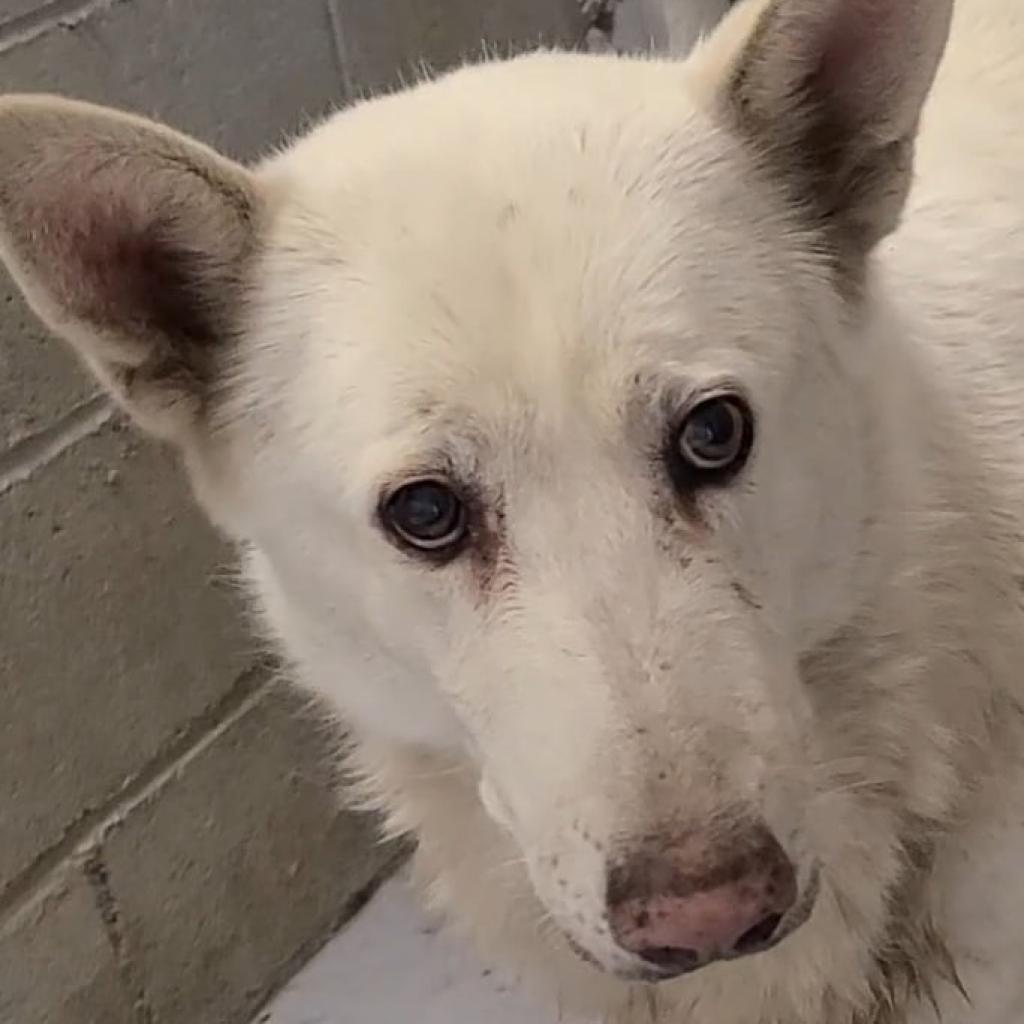 Audrey — thumbnail 4