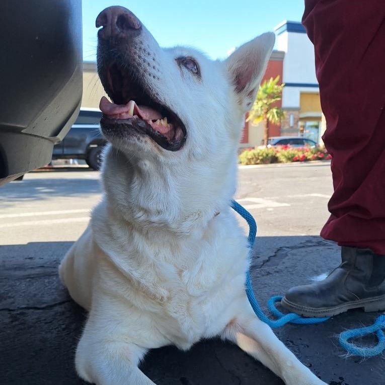 Audrey — thumbnail 5