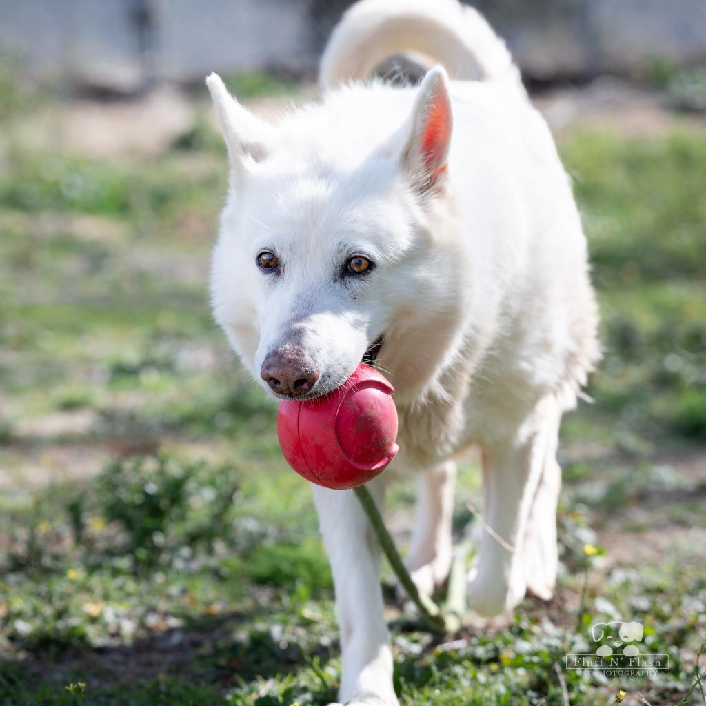 Audrey — thumbnail 6