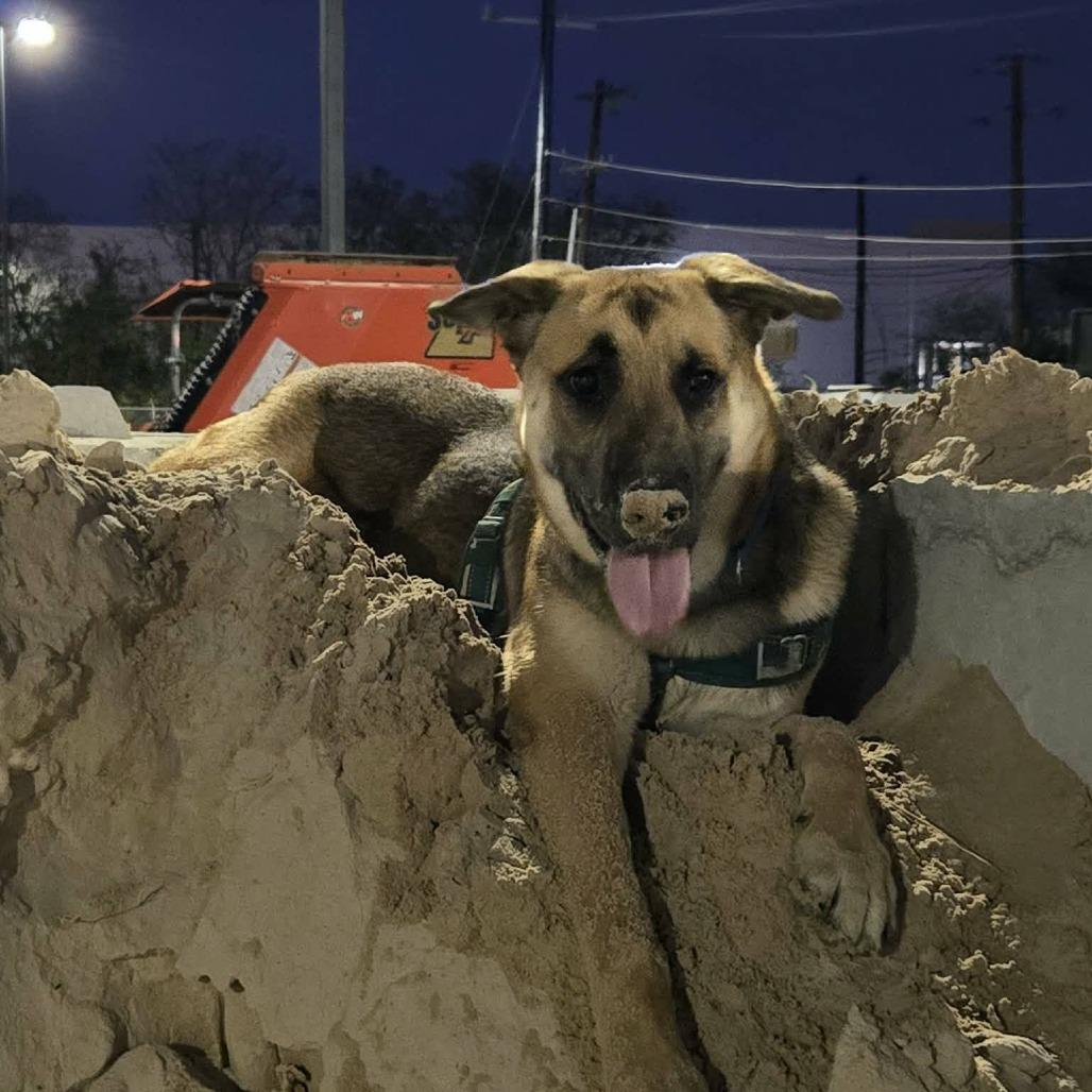 Otto CI — thumbnail 3