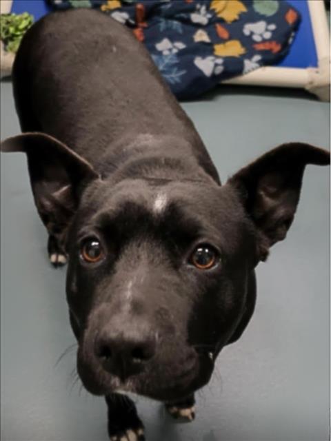 TATIANA — thumbnail 2