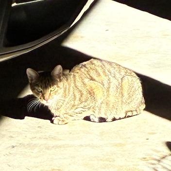 Marnie — thumbnail 3