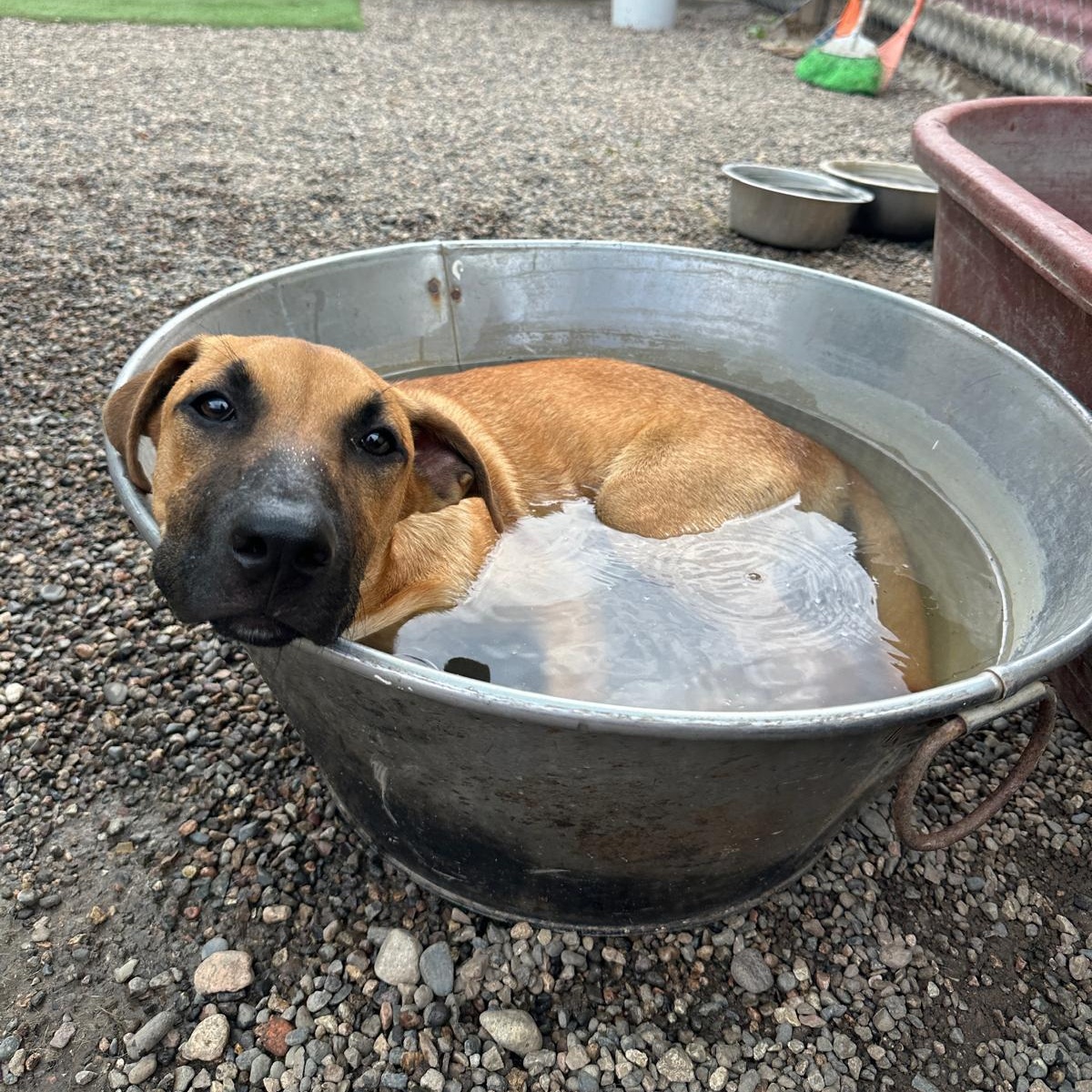 Aquarius — thumbnail 6