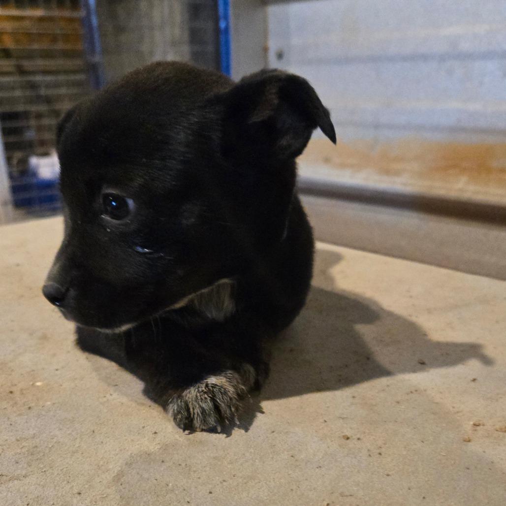 Sprout — thumbnail 2