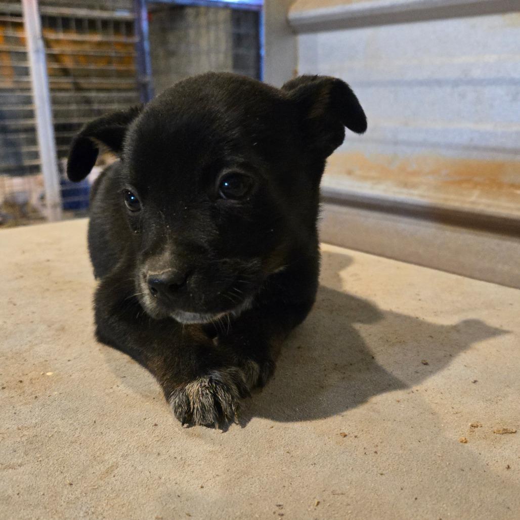 Sprout — thumbnail 3