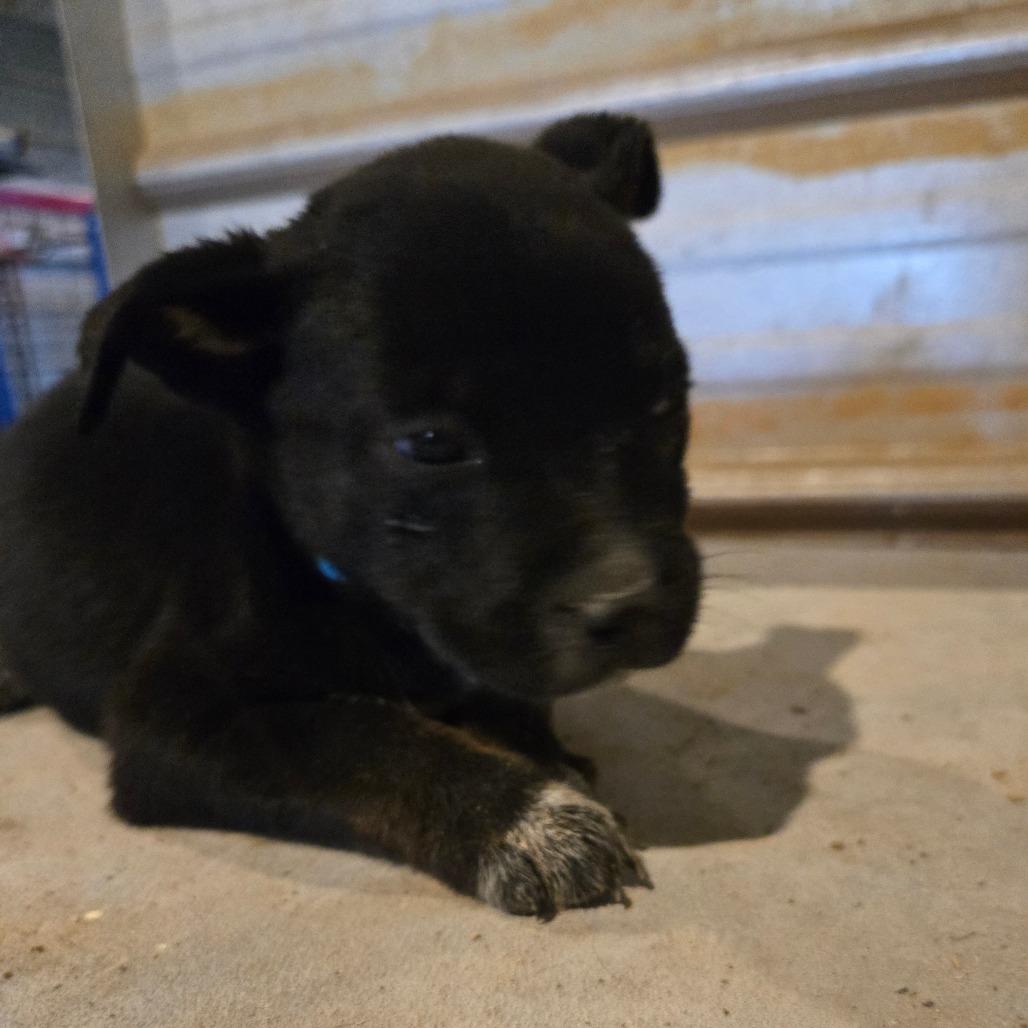 Sprout — thumbnail 4