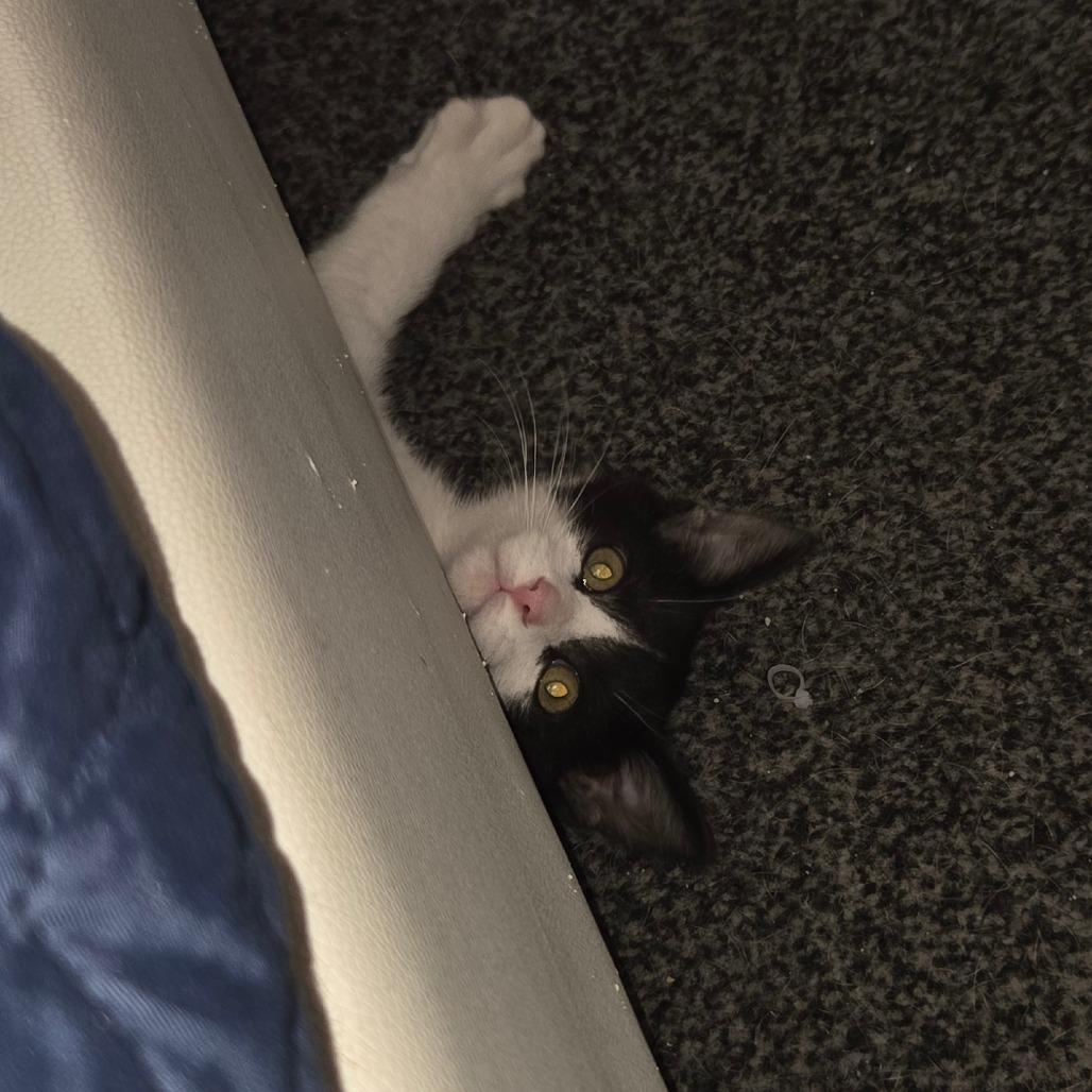 Solstice — thumbnail 6