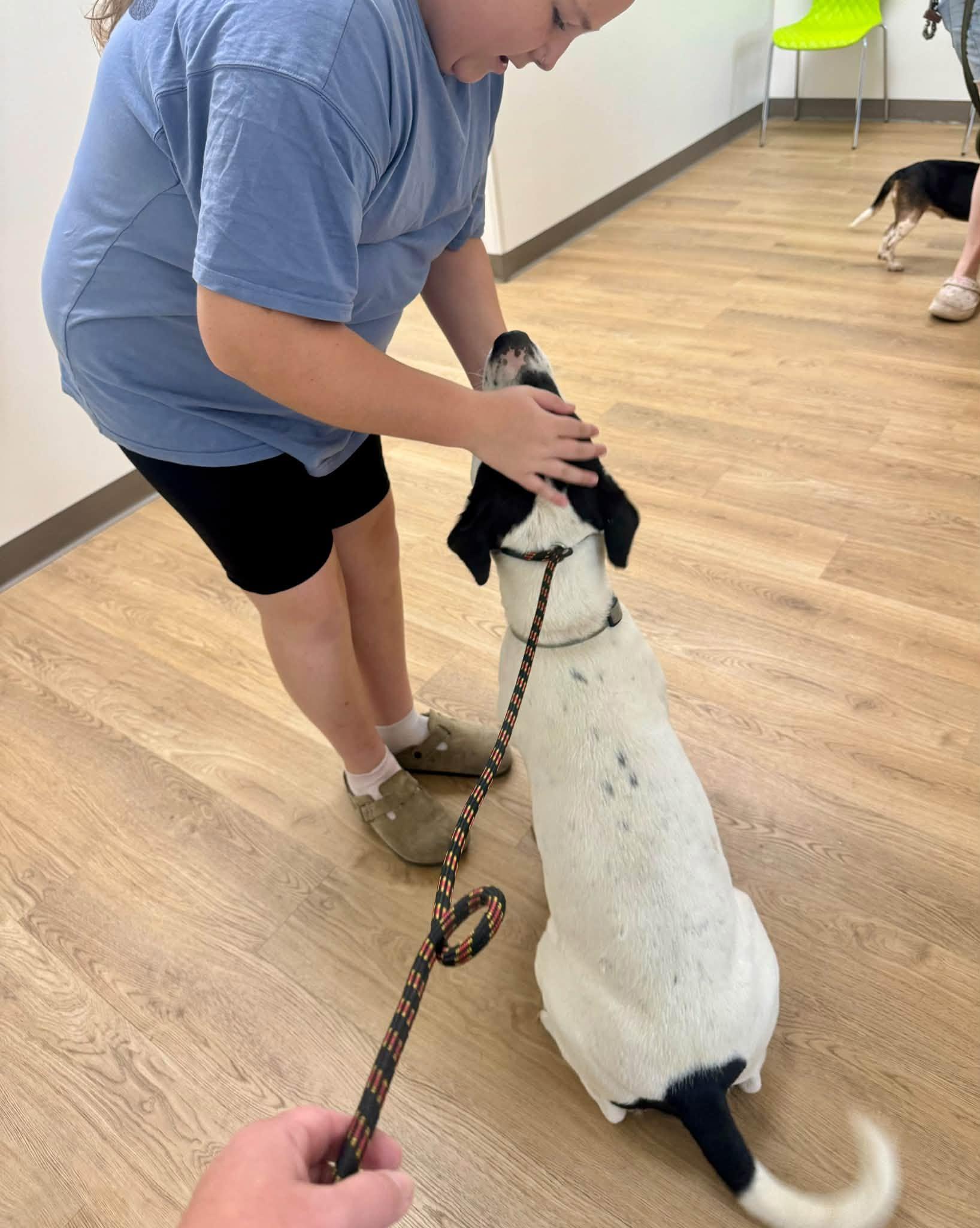 Enlarge Tank, a Adoptable mixed breed in Yorktown, VA image 5/6