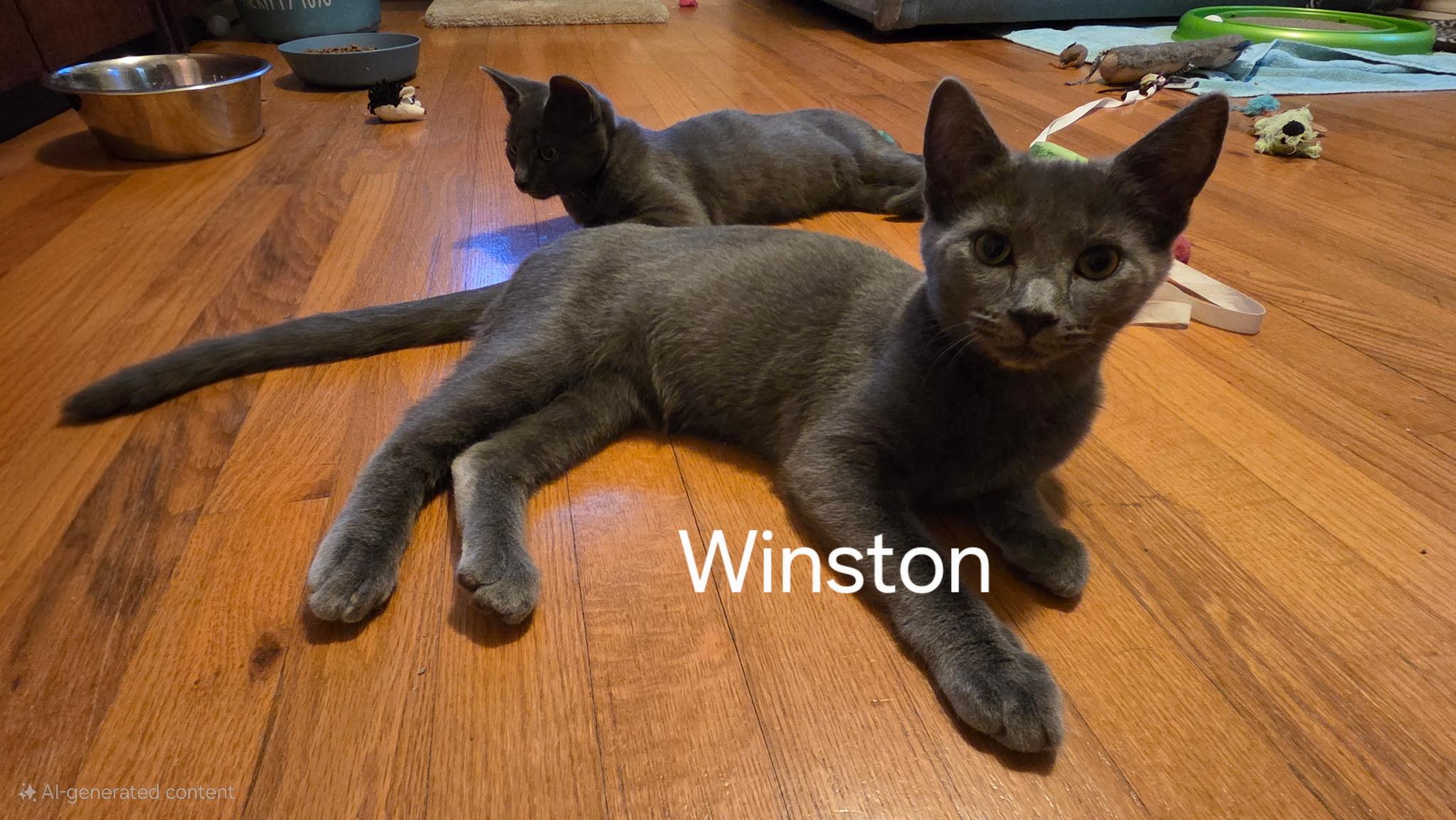 Winston  and  Ash