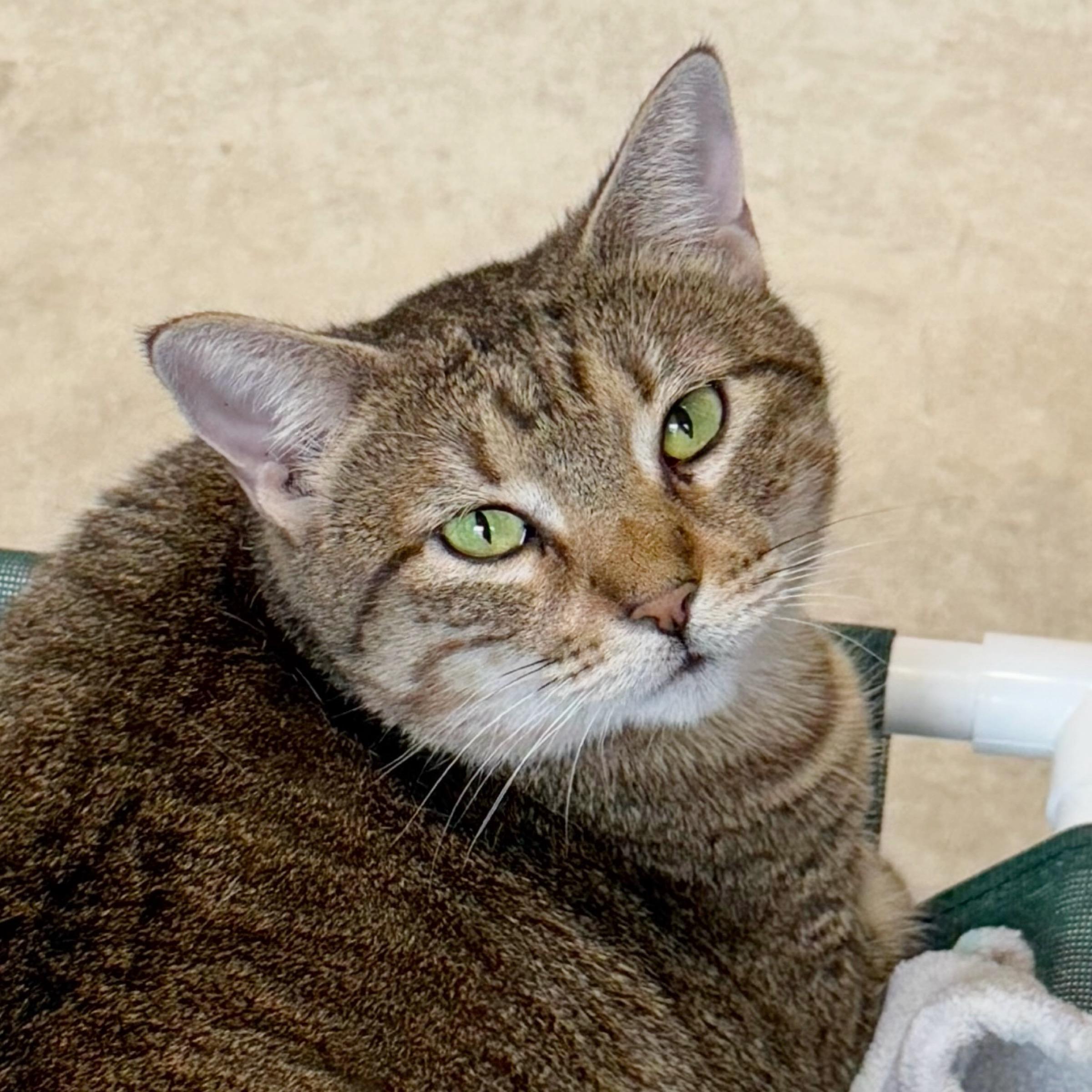 Ruthie — thumbnail 3