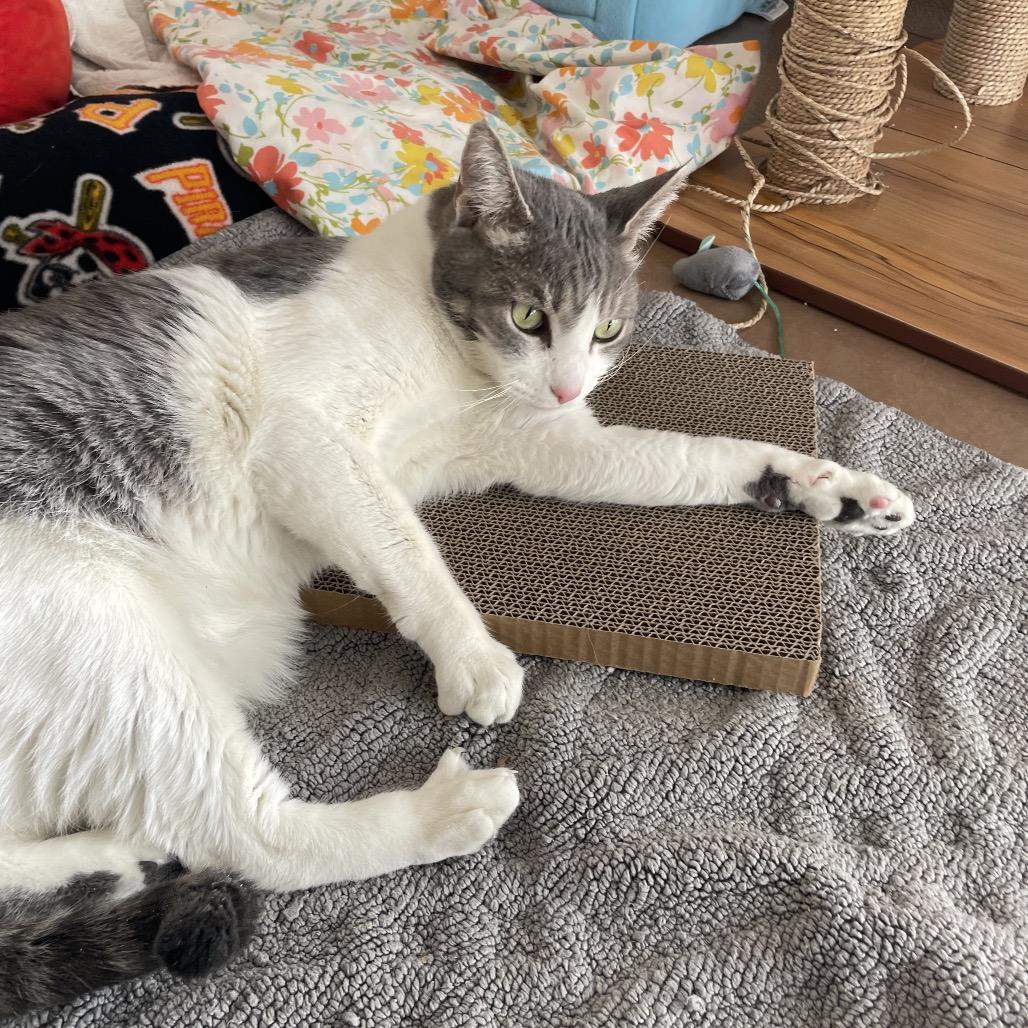 Maui — thumbnail 5