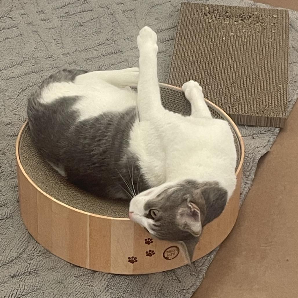 Maui — thumbnail 6