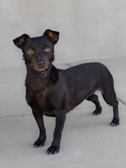 Ritz — thumbnail 2