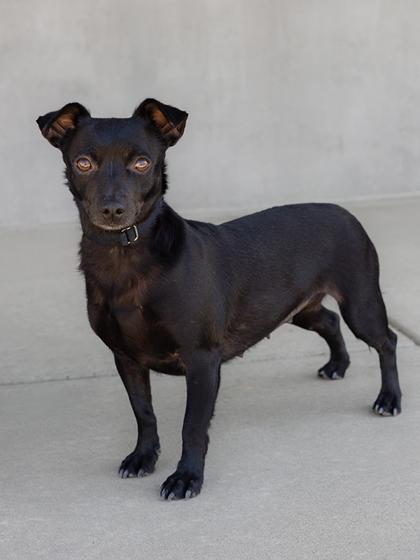 Ritz — thumbnail 3