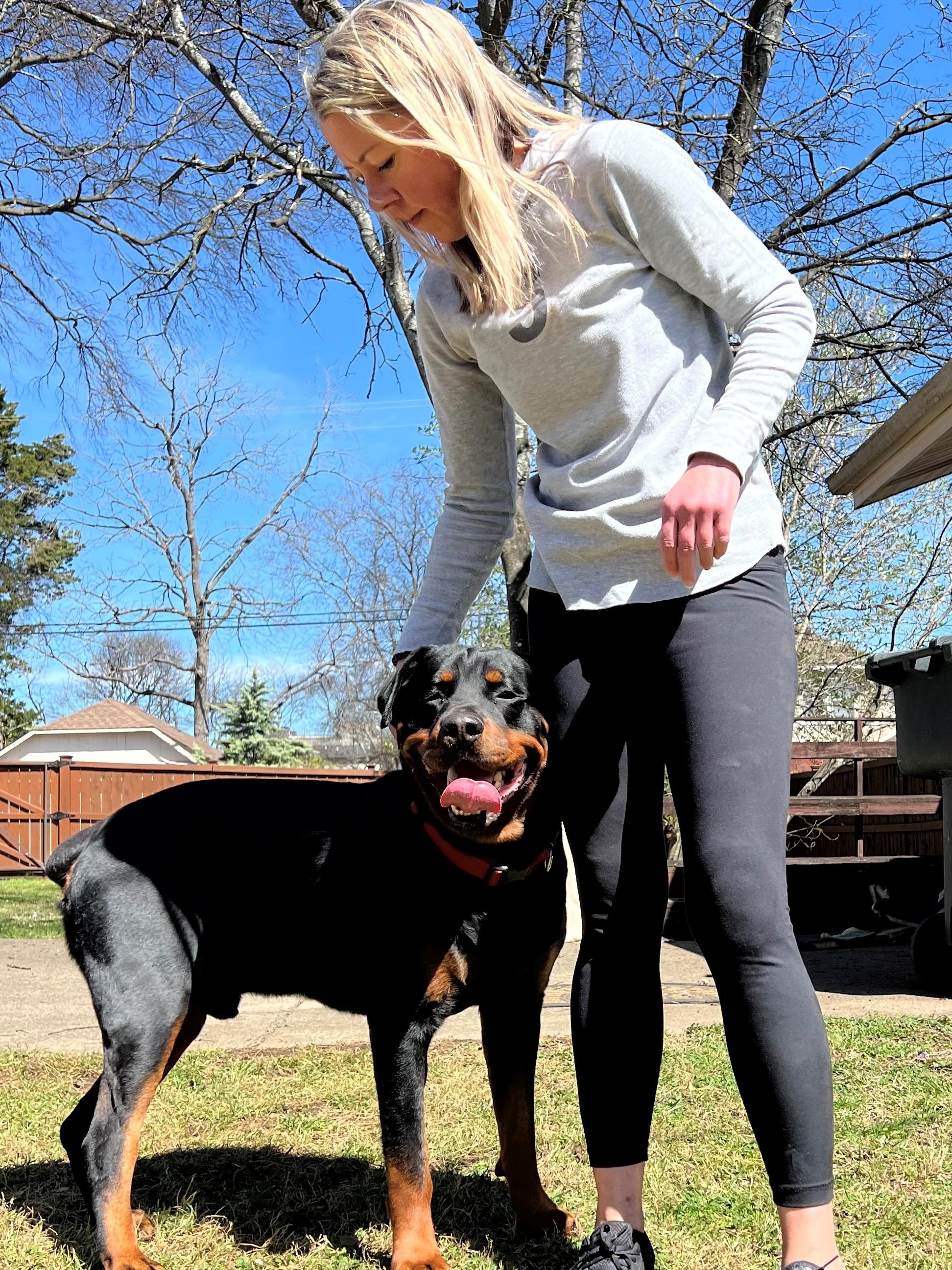Enlarge Dale, a Adopted Rottweiler in Nashville, TN image 5/6