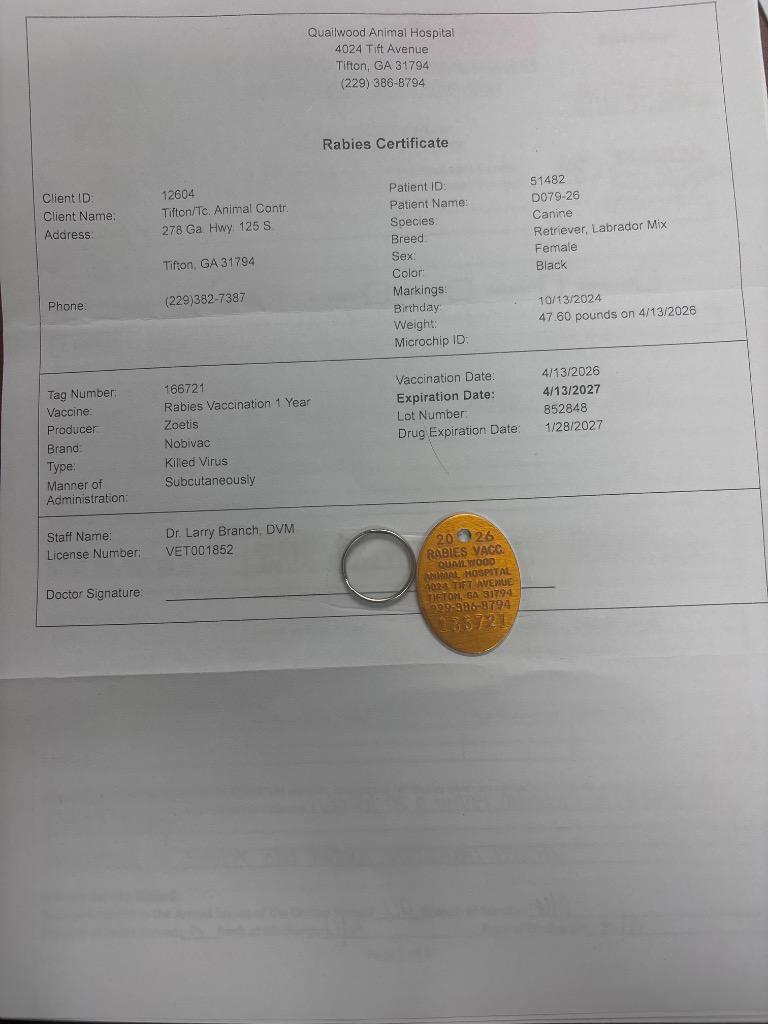 Enlarge D079-26, a Adoptable mixed breed in Tifton, GA image 3/3