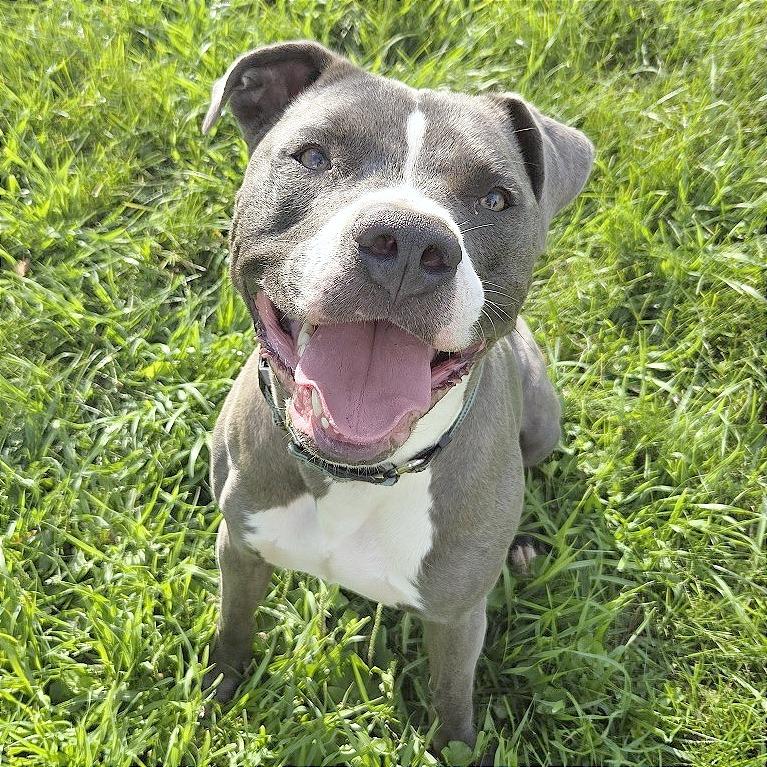 Onni — thumbnail 2