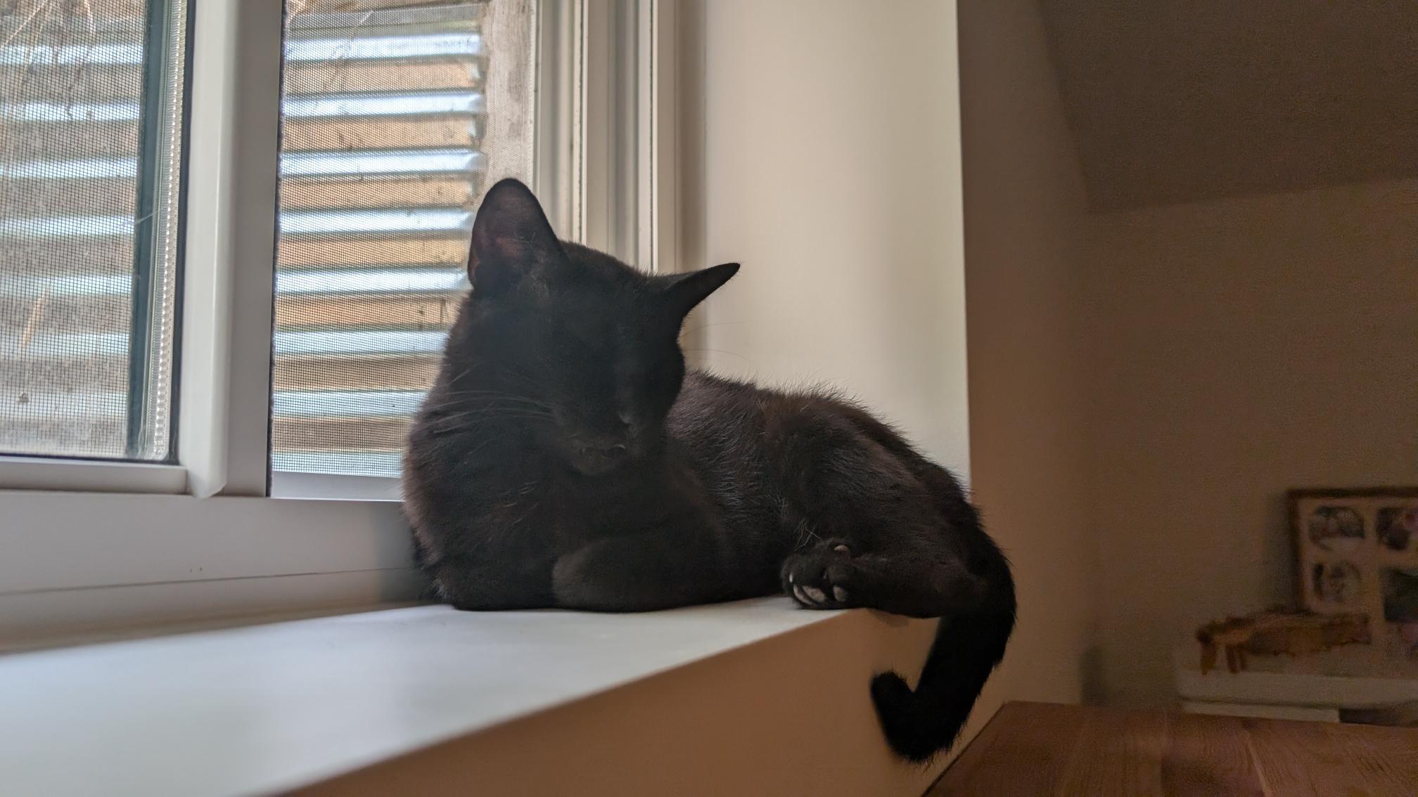 Molly 5, Young Female unknown
