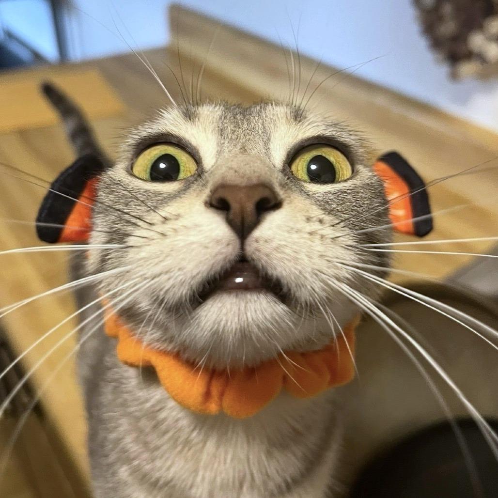 Lucy B. — thumbnail 2