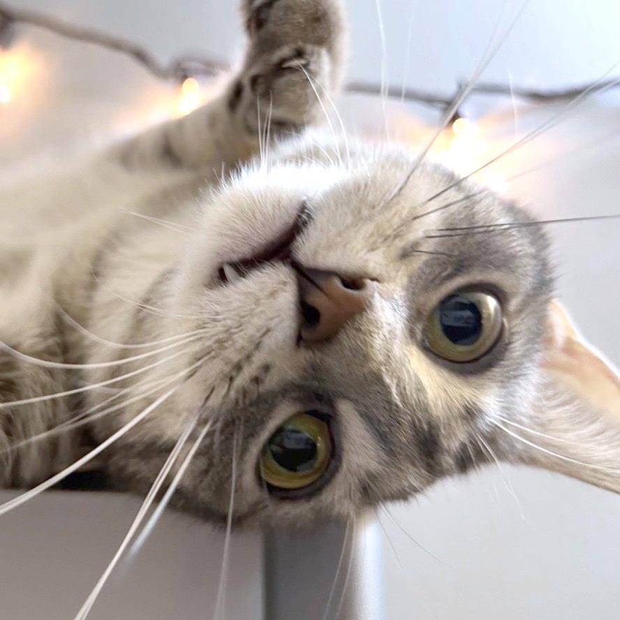 Lucy B. — thumbnail 3