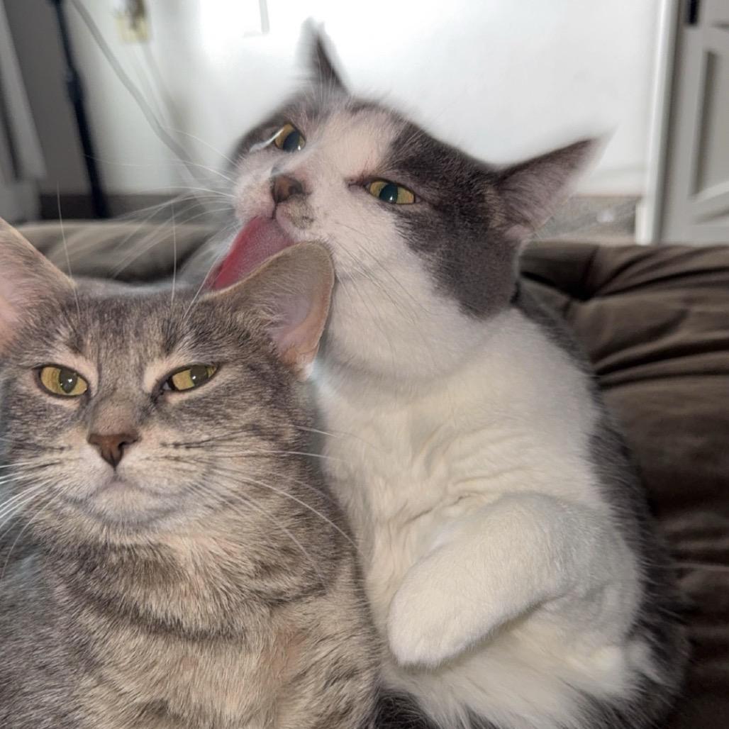 Lucy B. — thumbnail 4