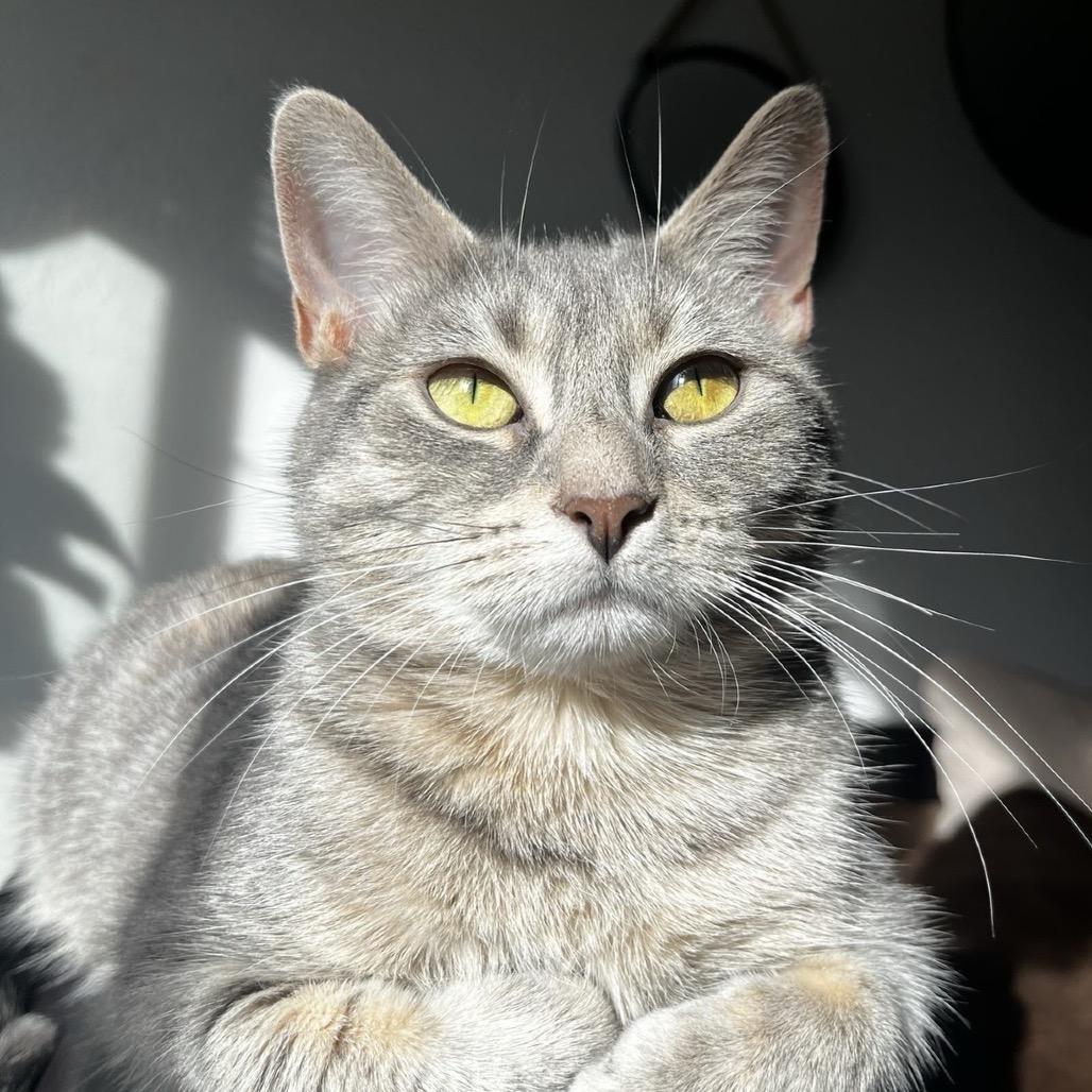 Lucy B. — thumbnail 5