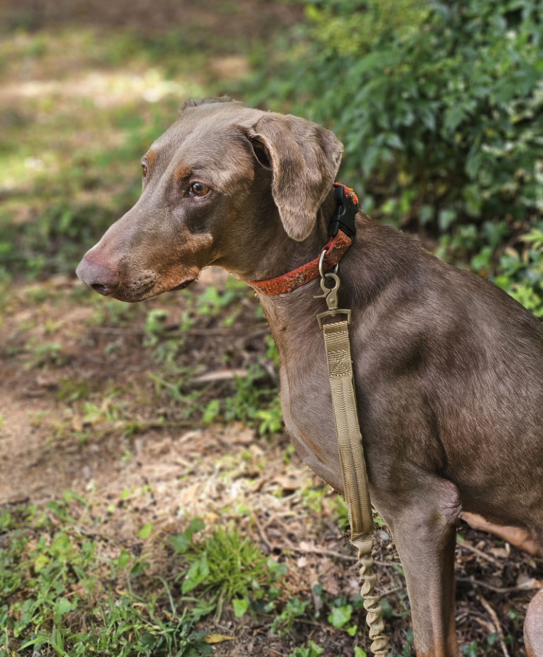 Marley Mae photo 3