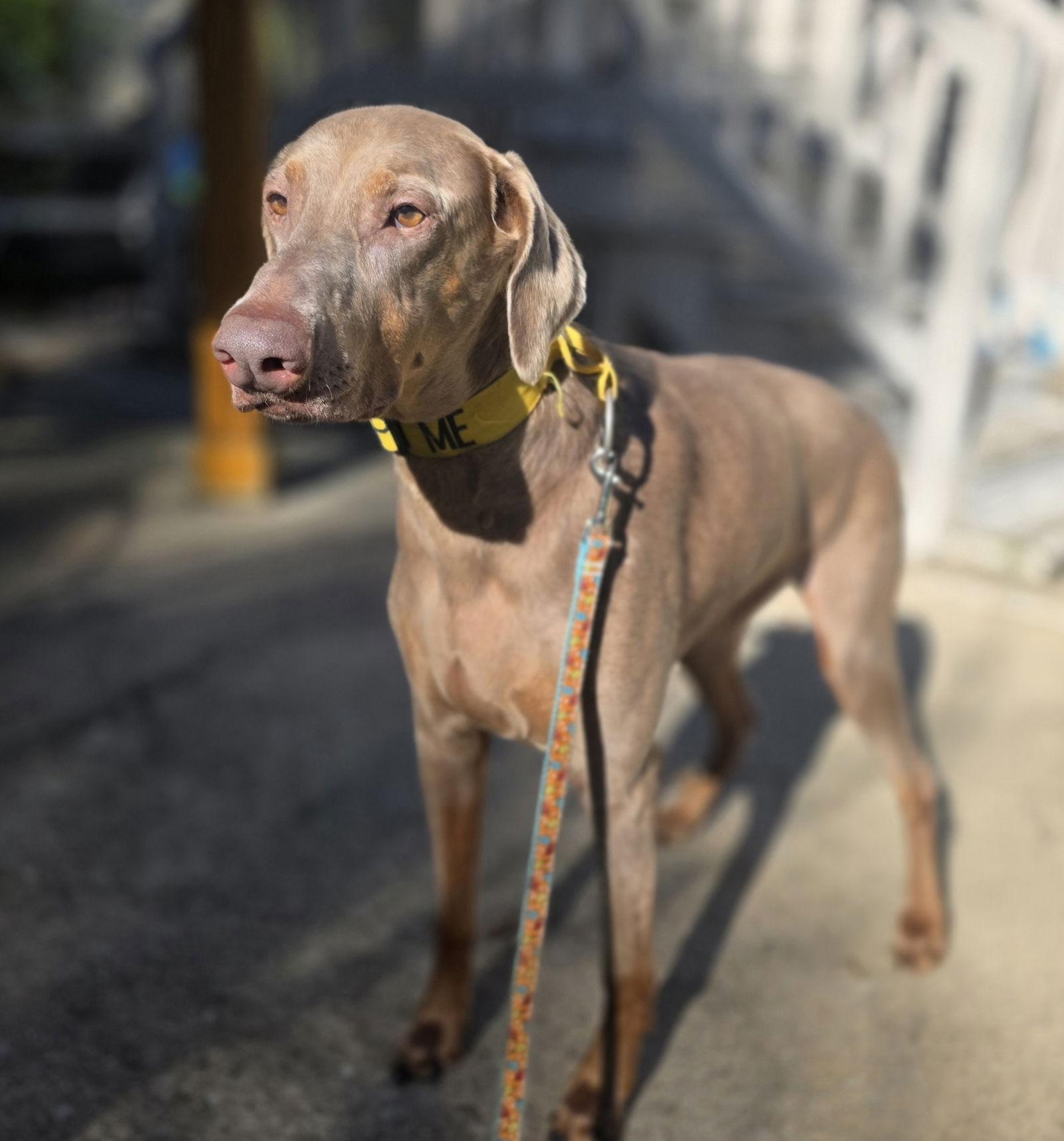 Marley Mae — thumbnail 3