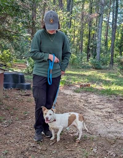 Enlarge Lulu - IN FOSTER HOME - AVAILABLE TO ADOPT, a Adoptable mixed breed in Clayton, NC image 6/6