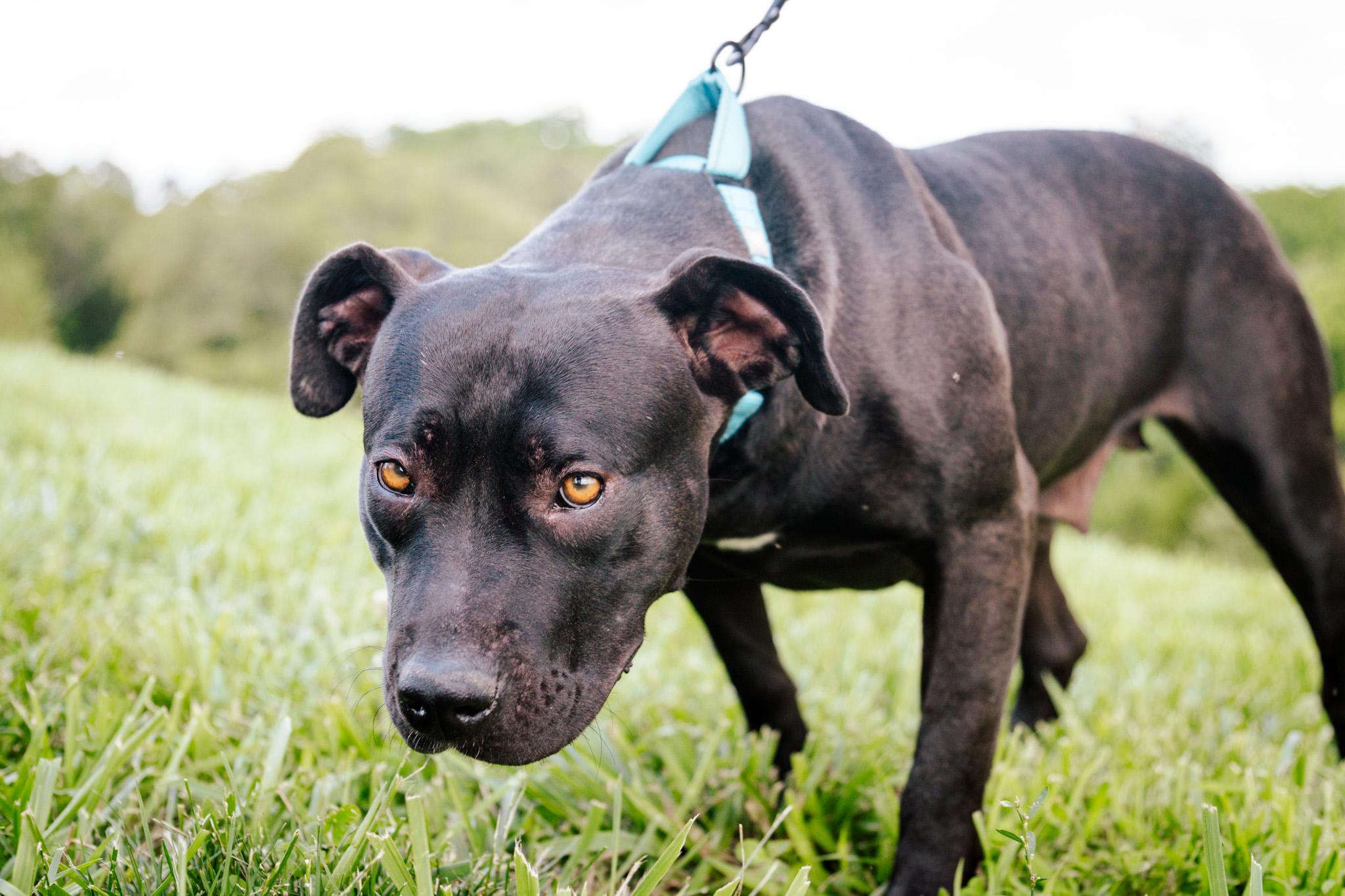 Karen  Transport thumbnail 3