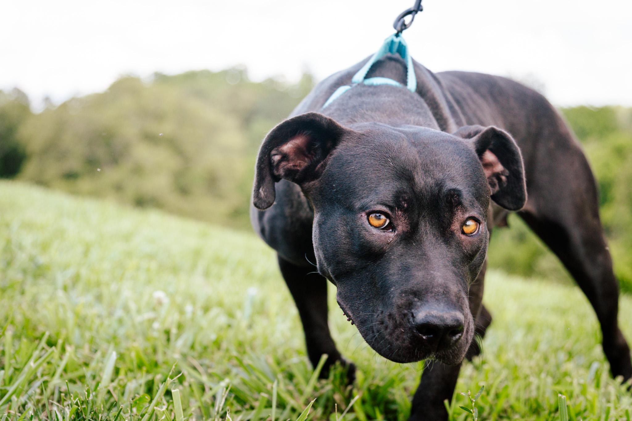 Karen  Transport thumbnail 5