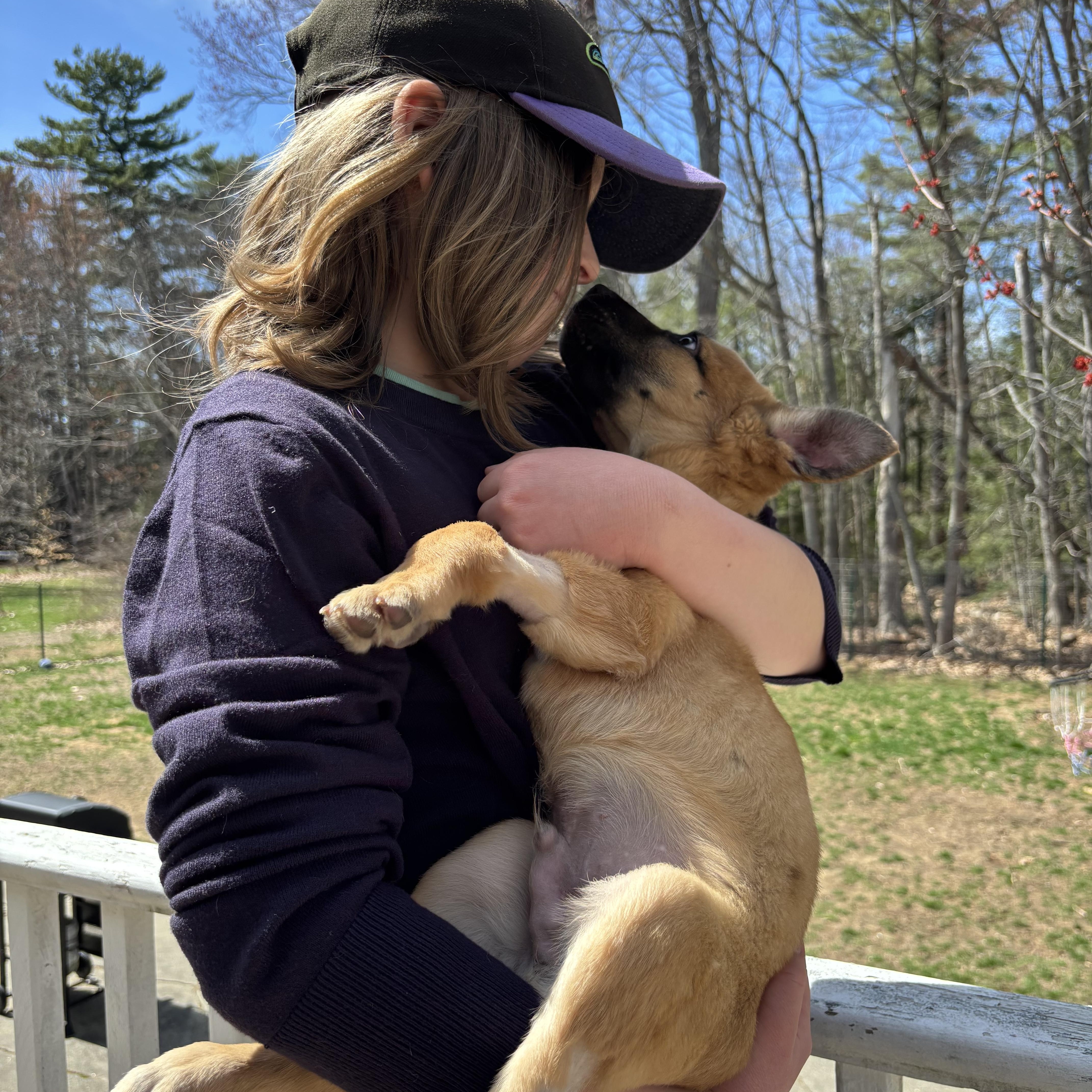 Enlarge Ralph , a ADOPTABLE Mixed Breed in Bowdoin, ME image 2/6