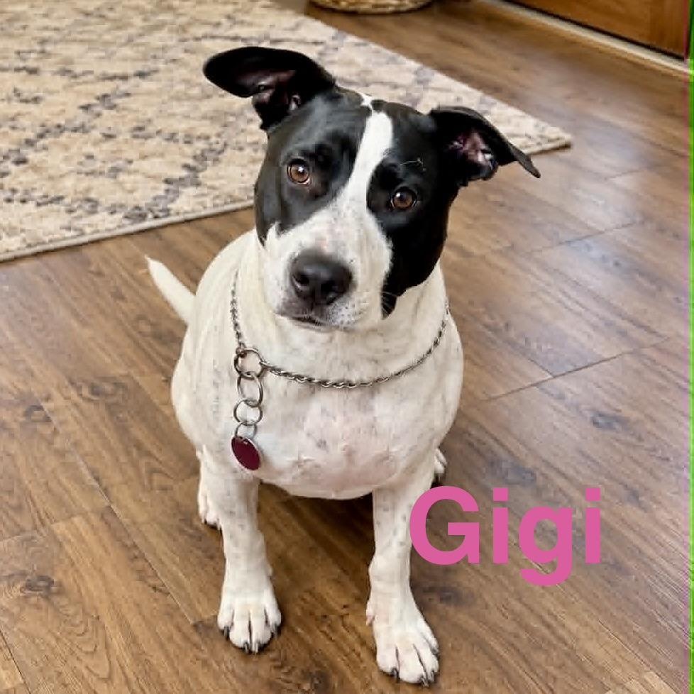 Gigi photo
