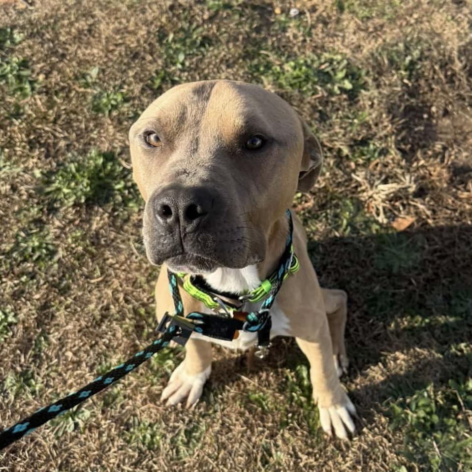 Trombone — thumbnail 2