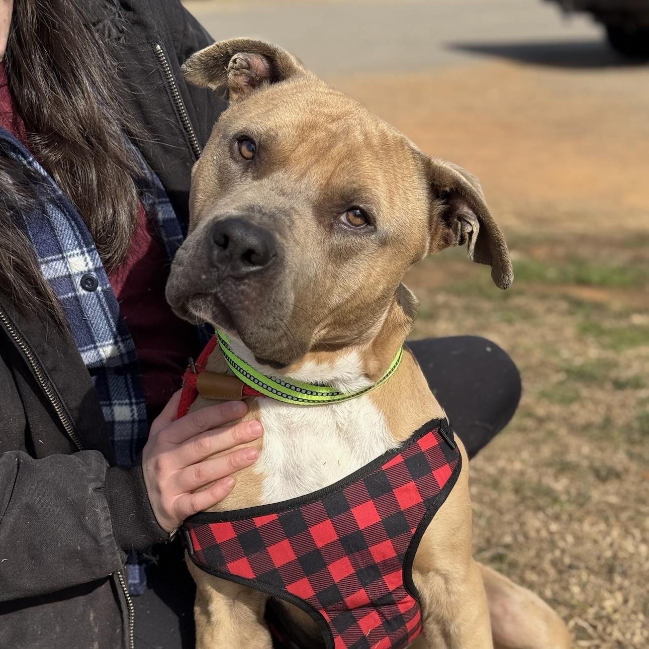 Trombone — thumbnail 3