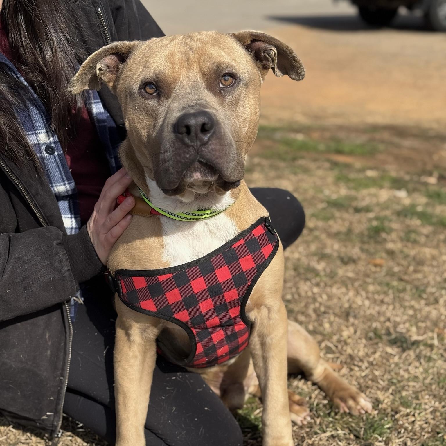 Trombone — thumbnail 5