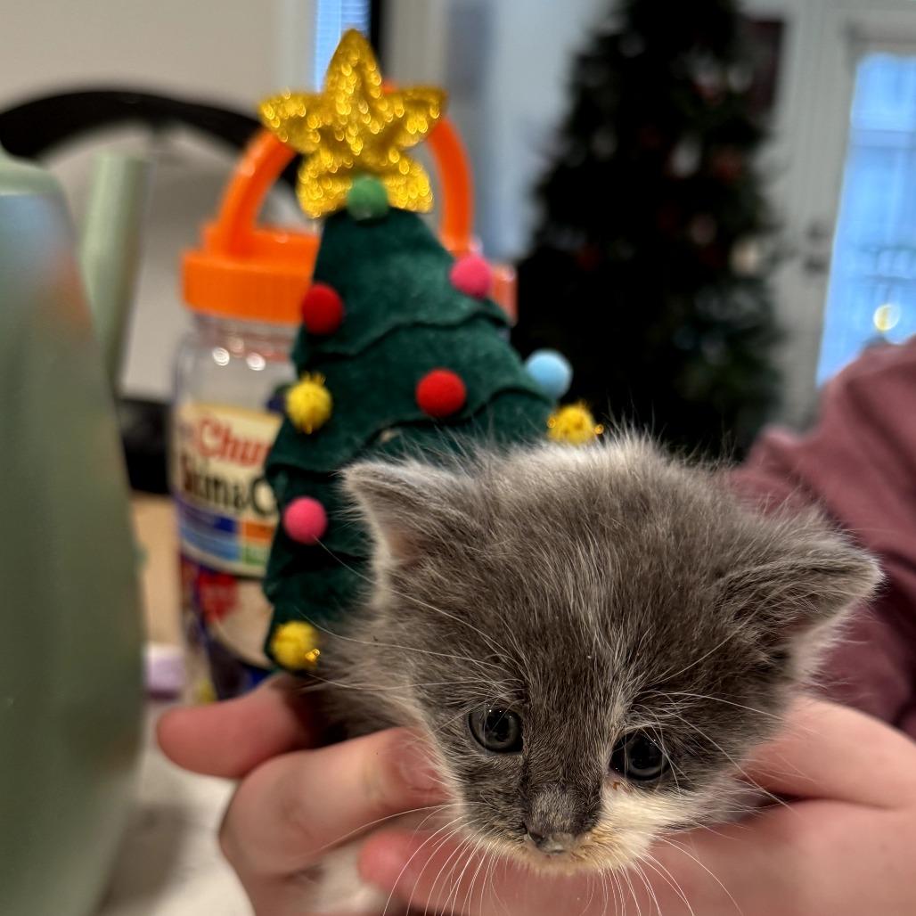 King George Iii thumbnail 3