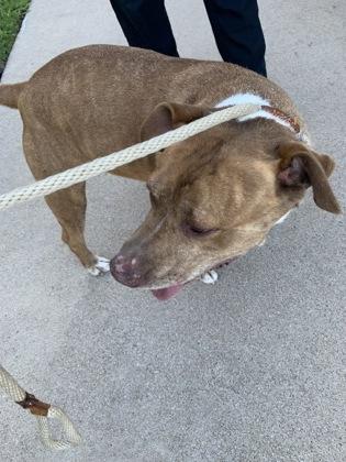 Hernandez — thumbnail 2