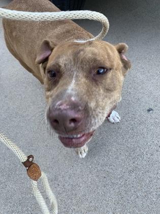 Hernandez — thumbnail 3