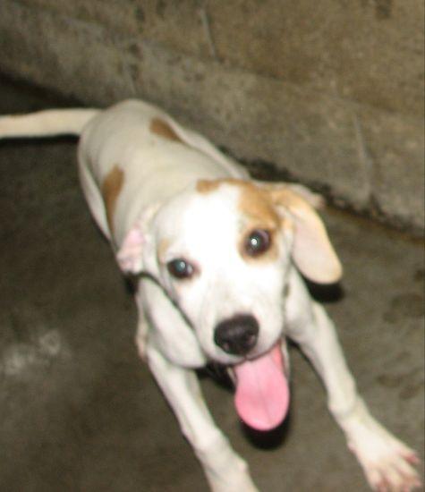 #3782 Murphy photo 5